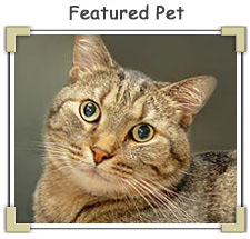 centraldakotahumanesociety.jpg